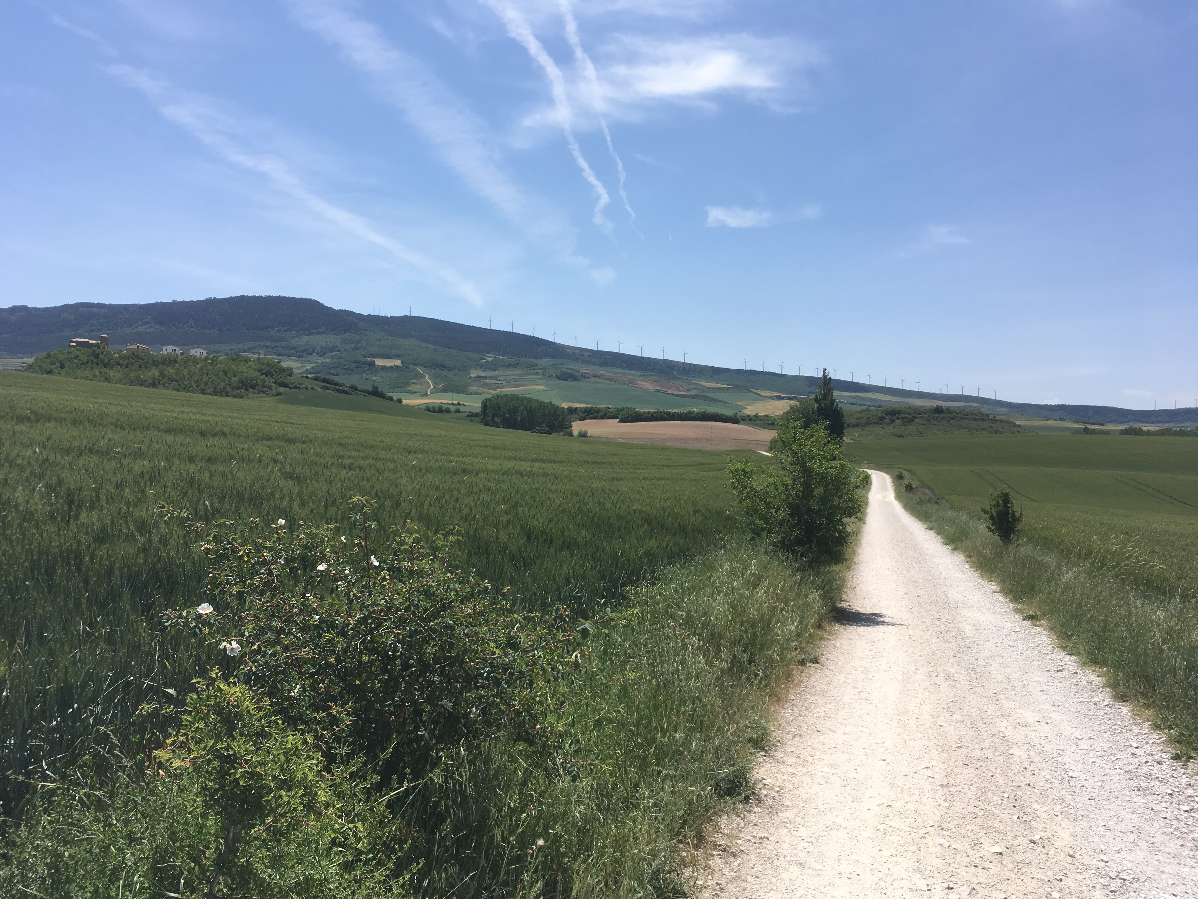 Von Pamplona zum Monte del Perdón