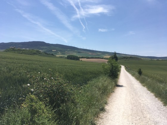 Von Pamplona zum Monte del Perdón