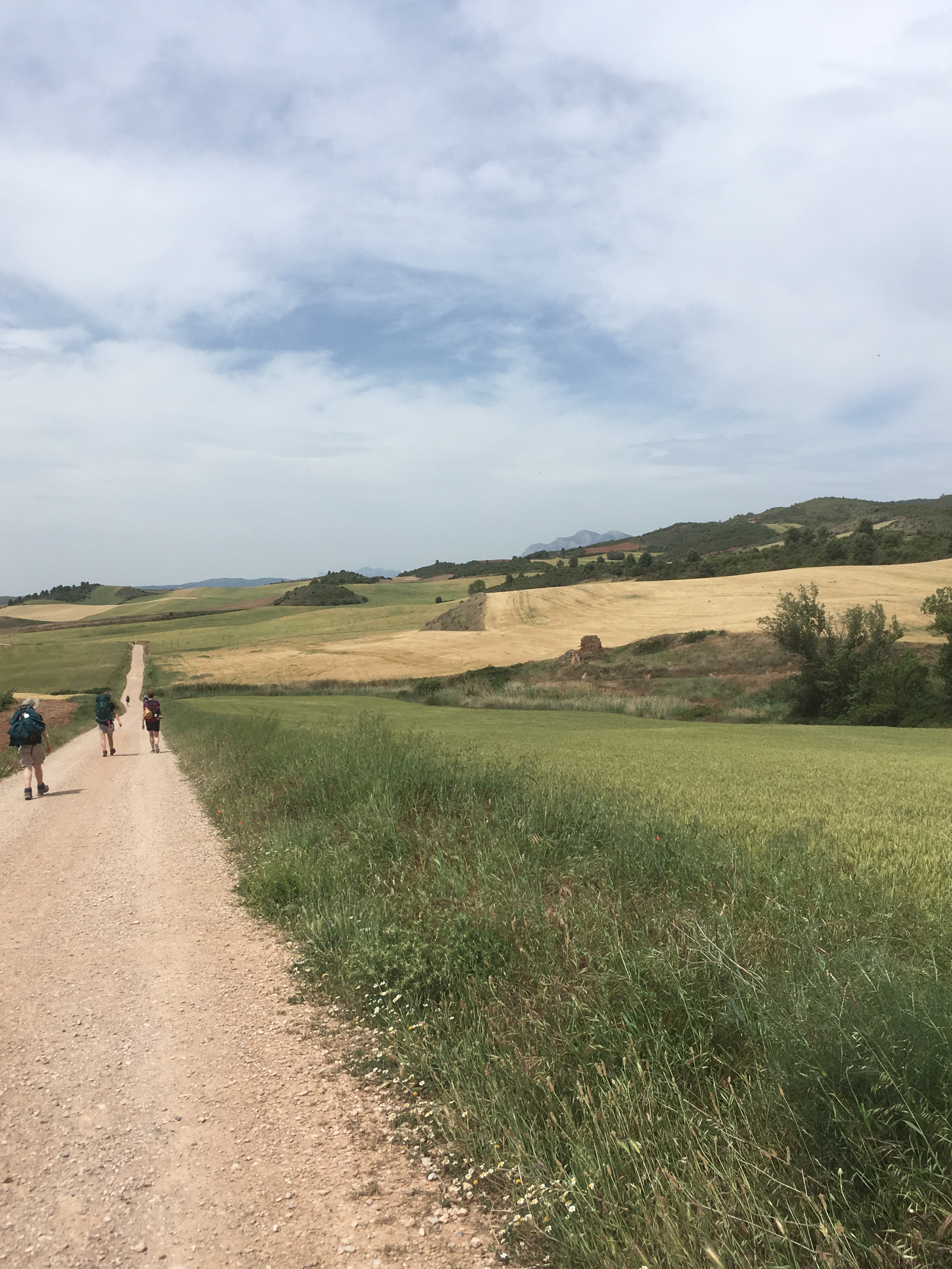 Auf dem Weg nach Los Arcos