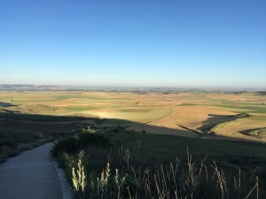 Blick vom Alto de Mostelares in Richtung Itero de la Vega